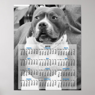 Póster American Staffordshire terrier