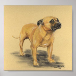 Póster "American Staffordshire Terrier" Dibujo de perro