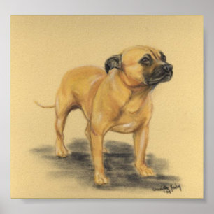 Póster "American Staffordshire Terrier" Dibujo de perro