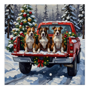 Póster American Staffordshire Terrier Navidad Camión Rojo