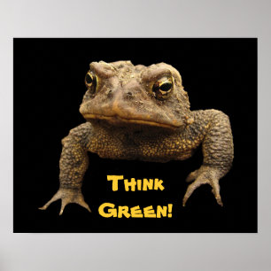 Póster American Toad Earth Day Poster