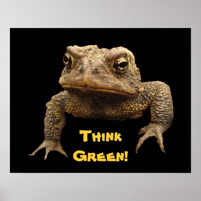 Póster American Toad Earth Day Poster (Frente)