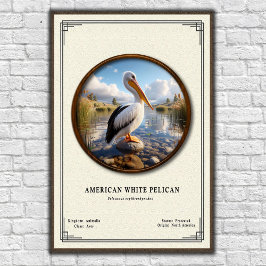 Póster American White Pelican Zoology Series Poster