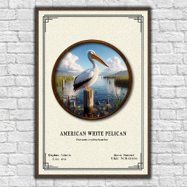 Póster American White Pelican Zoology Series Poster