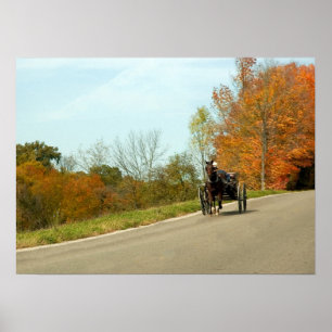Póster Amich Buggy Print