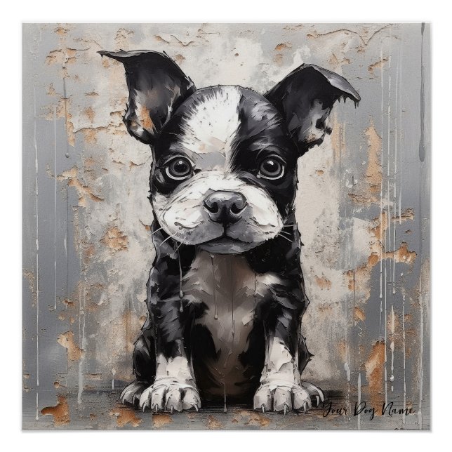 Póster Amigable Boston Terrier Perros Cachorros 005 - Rai (Anverso)