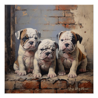 Póster Amigable Bulldog Perros de Cachorro 003 - Raimon P