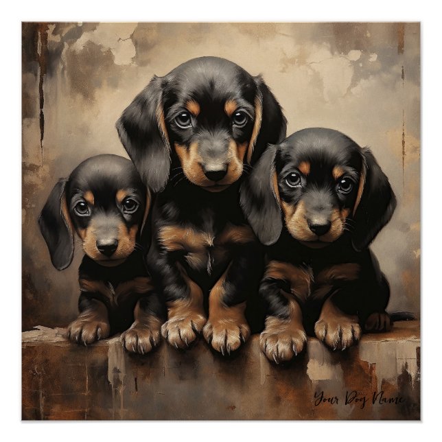 Póster Amigable Dachshund Perros Cachorros 001 - Raimon P (Anverso)