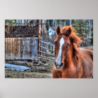 Póster Amigable Dun Ranch Horse Photo & Poem