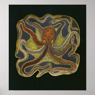 Póster Amigo del Octopus