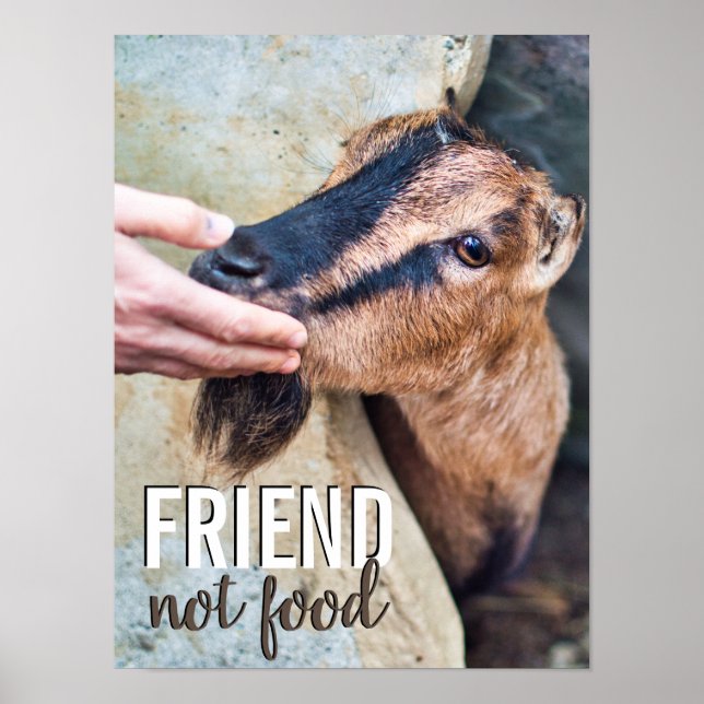 Póster Amigo no comida vegana detengan la crueldad animal (Frente)