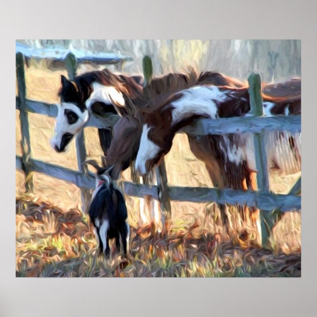 Póster Amigos de la cerca (Frente)