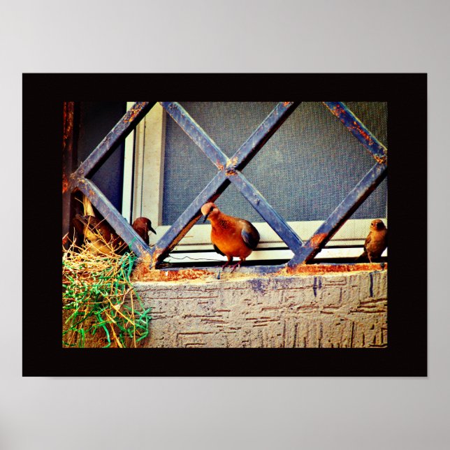 Póster Amigos de pájaro (Frente)