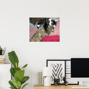 Póster Amigos de Sueño