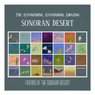 Póster Amigos del desierto de Sonoran