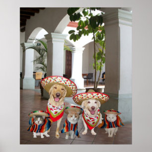 Póster Amigos del Los