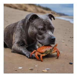 Póster "Amigos en la playa: Un Staffy y su compañero cang