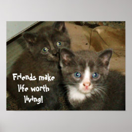 Póster AMIGOS HACEN QUE LA VIDA VALGA LA PENA poster