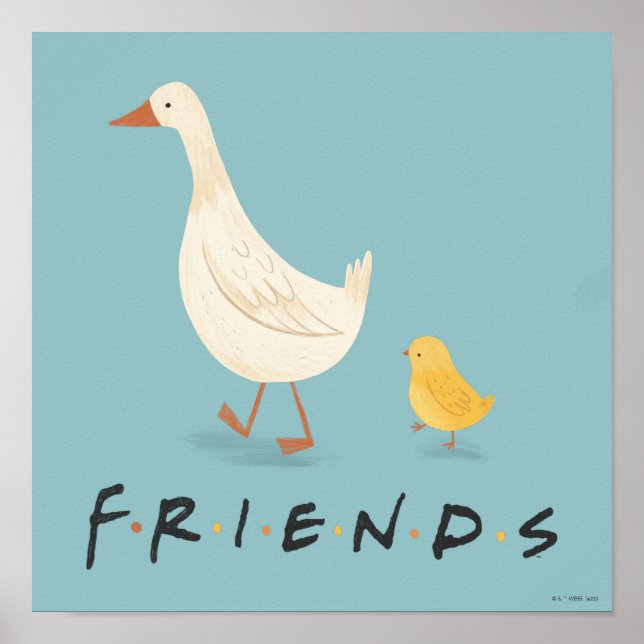 Póster AMIGOS™ | La chica y el pato (Frente)