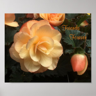 Póster Amigos para siempre