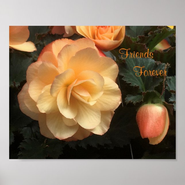 Póster Amigos para siempre (Frente)