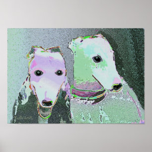 Póster "Amigos poster de un diverso color   "