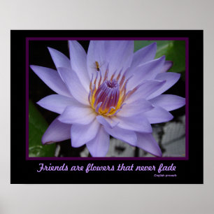 Póster Amigos son flores Amistad Morple Water Lily