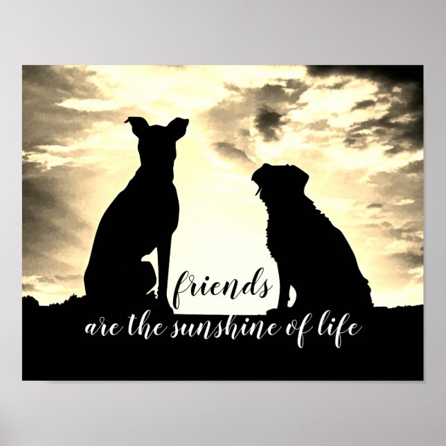Póster amigos son la cita del sol poster con perros (Frente)
