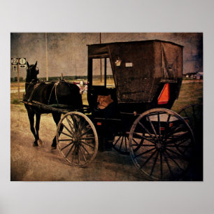 Póster Amish Buggy