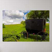 Amish Buggy en Hillside Farm