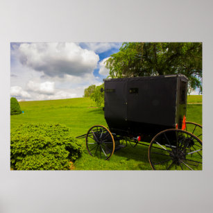 Póster Amish Buggy en Hillside Farm