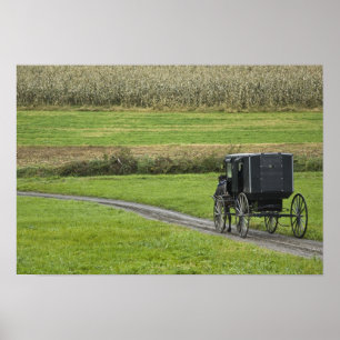 Póster Amish buggy on farm lane, Northeastern Ohio,