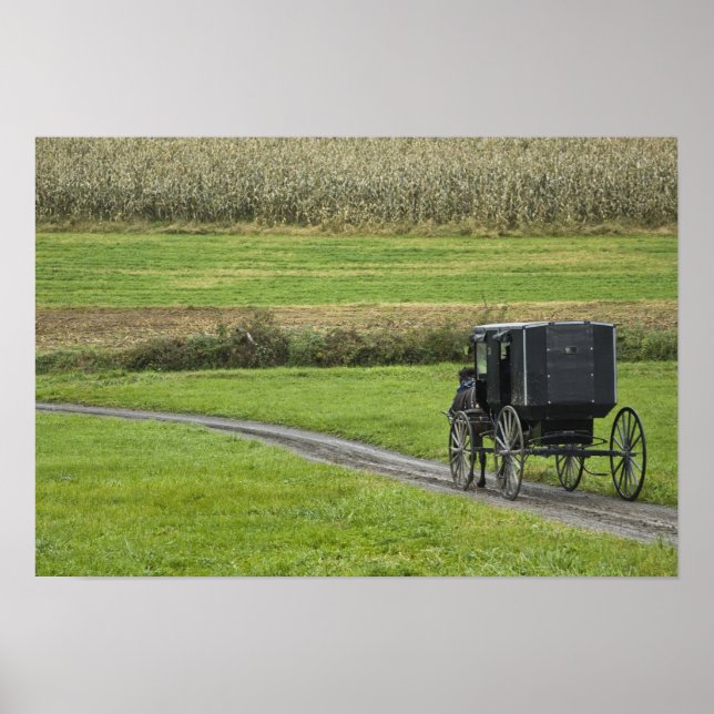 Póster Amish buggy on farm lane, Northeastern Ohio, (Frente)