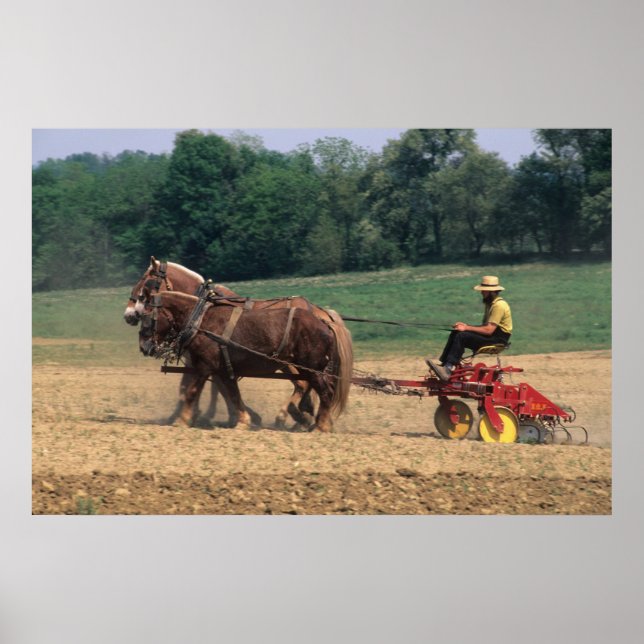 Póster Amish Country gente sencilla cultivando con (Frente)