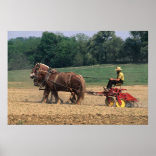 Póster Amish Country simple people in farming with