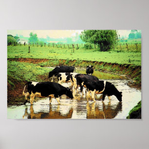 Póster Amish Cows Poster