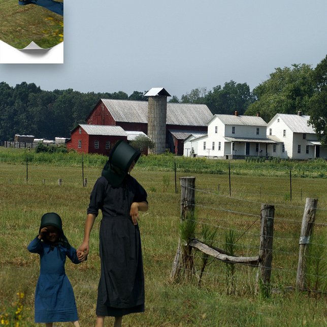 Póster Amish Farm Life (Subido por el creador)