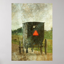 Amish Horse and Buggy