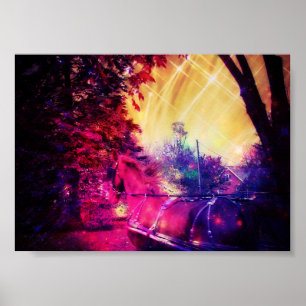 Póster Amish Horse Fun