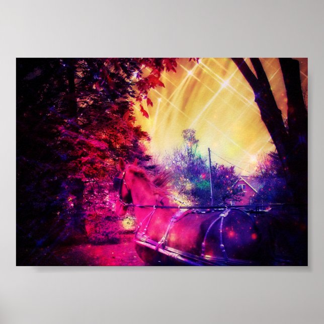 Póster Amish Horse Fun (Frente)