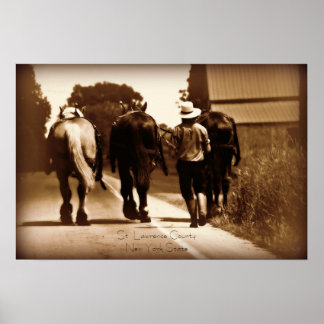 Póster Amish Life Poster