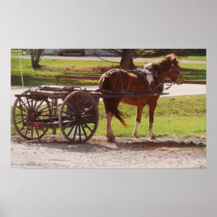 Póster Amish Pony Cart