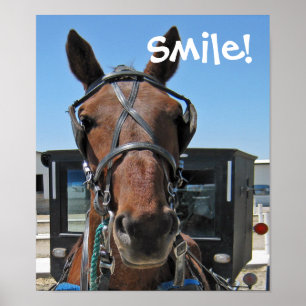 Póster Amish Smile
