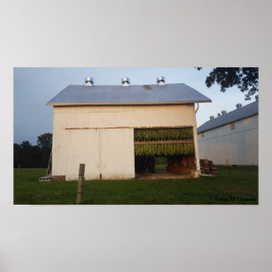 Póster Amish Tobacco Barn/Pennsylvania