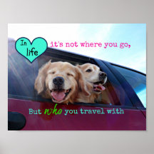Amistad de viaje de Golden Retriever