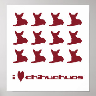 Póster Amo a Chihuahuas