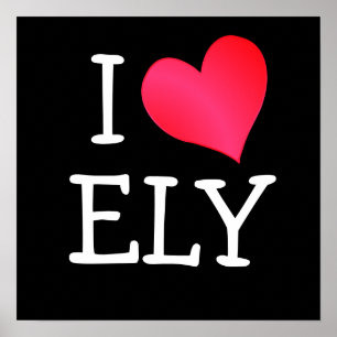 Póster Amo a Ely