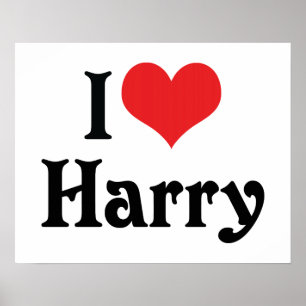 Póster Amo a Harry