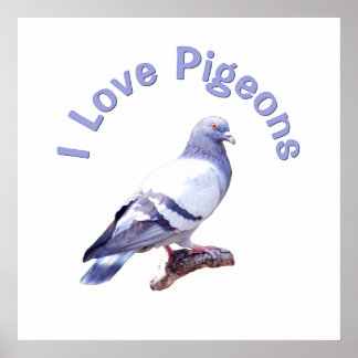 Póster Amo a las palomas