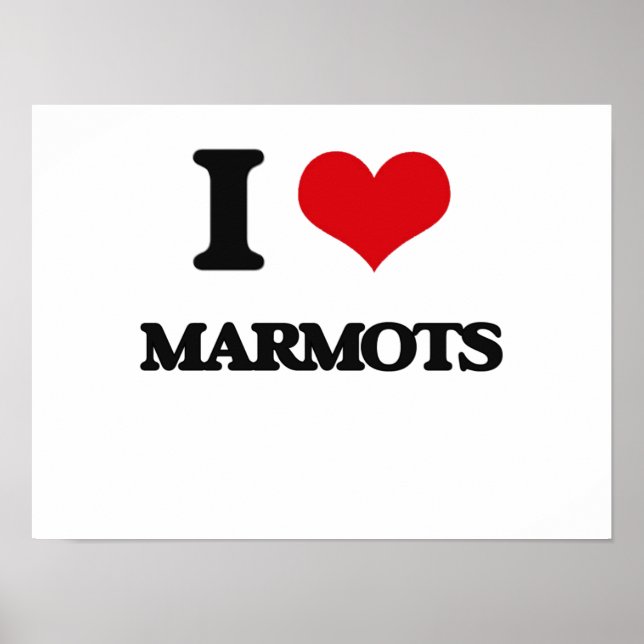 Póster Amo a Marmots (Frente)